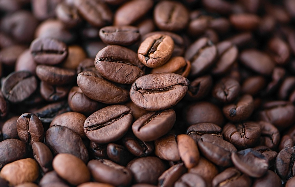 10 Plagas y Enfermedades del Café: Guía de Control y Prevención