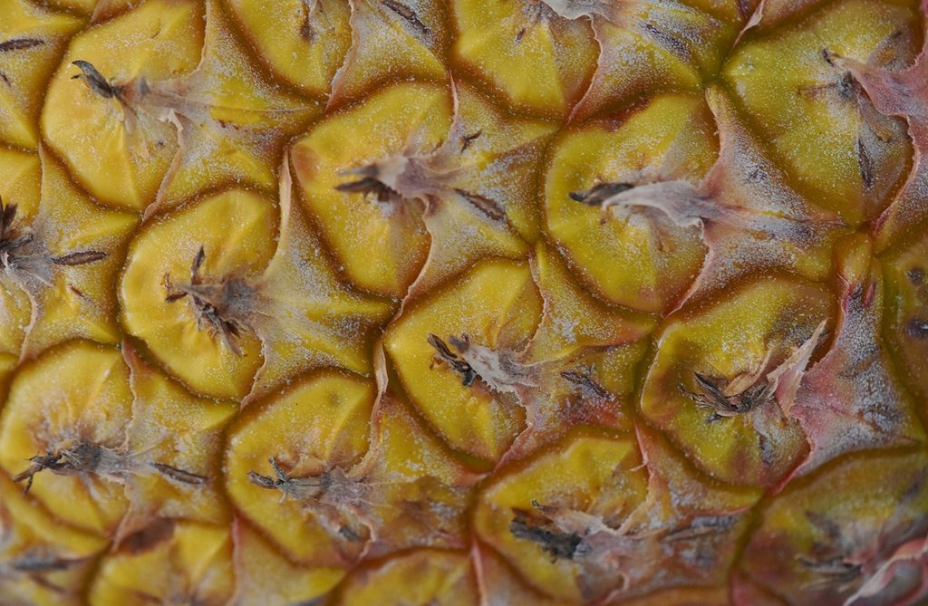 beneficios de la pina